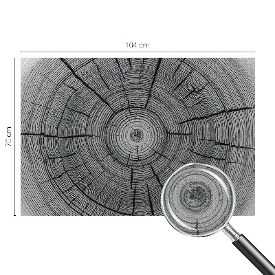 Zelfklevend fotobehang Bosharmonie