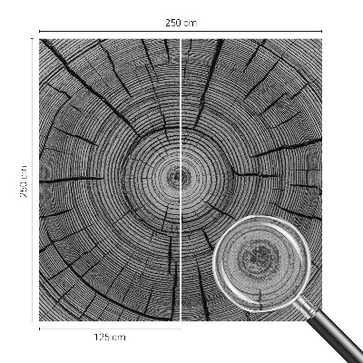 Zelfklevend fotobehang Bosharmonie