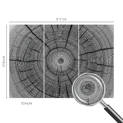 Zelfklevend fotobehang Bosharmonie