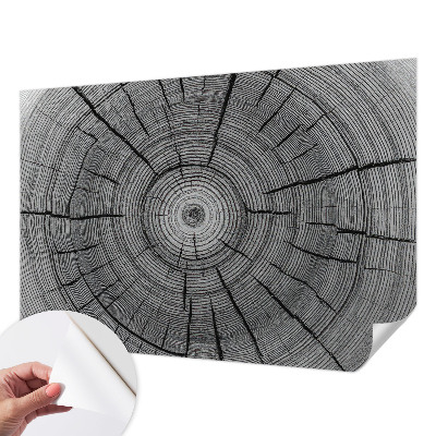 Zelfklevend fotobehang Bosharmonie