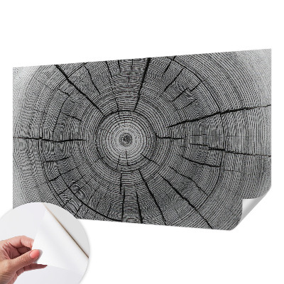 Zelfklevend fotobehang Bosharmonie