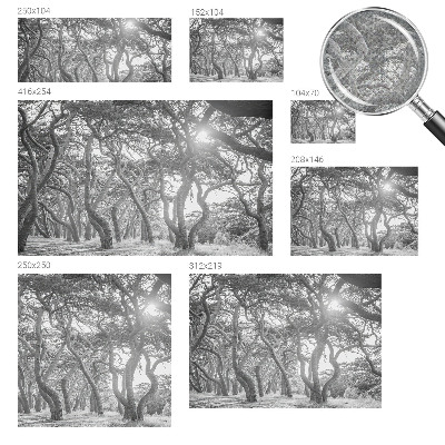 Foto behang voor de keuken Atmosferisch bos