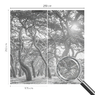 Foto behang voor de keuken Atmosferisch bos