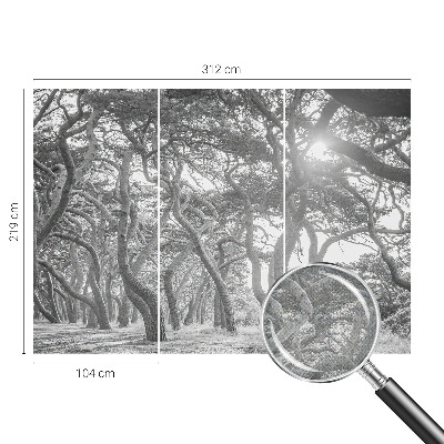 Foto behang voor de keuken Atmosferisch bos