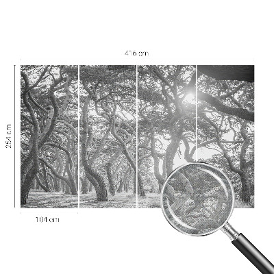 Foto behang voor de keuken Atmosferisch bos