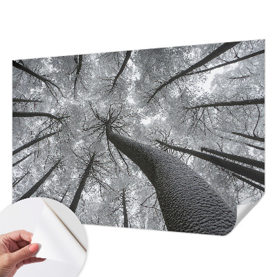 Zelfklevende behangsticker met een winterlandschap
