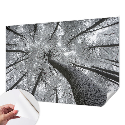 Zelfklevende behangsticker met een winterlandschap