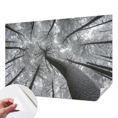 Zelfklevende behangsticker met een winterlandschap