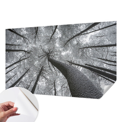 Zelfklevende behangsticker met een winterlandschap