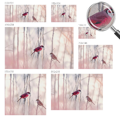 Fotobehang babykamer Vogelpaar