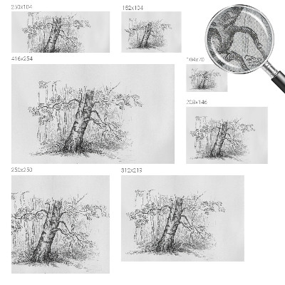Zelfklevend fotobehang met print van een bosboom