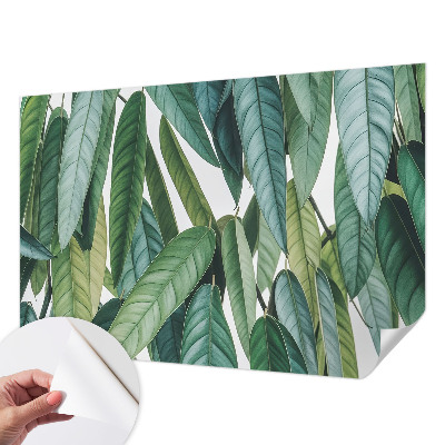 Fotobehang zelfklevend met een print van natuurlijke bladeren
