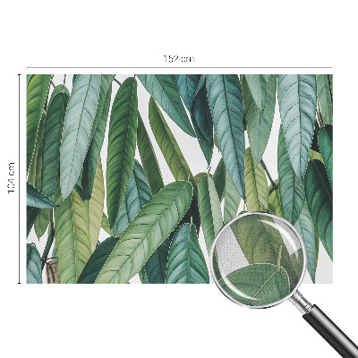 Fotobehang zelfklevend Natuurlijke bladeren