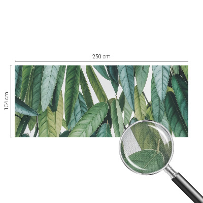 Fotobehang zelfklevend Natuurlijke bladeren