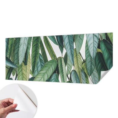 Fotobehang zelfklevend met een print van natuurlijke bladeren