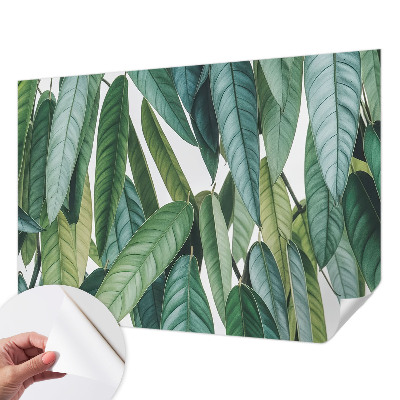 Fotobehang zelfklevend met een print van natuurlijke bladeren
