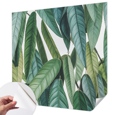 Fotobehang zelfklevend met een print van natuurlijke bladeren