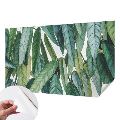 Fotobehang zelfklevend met een print van natuurlijke bladeren