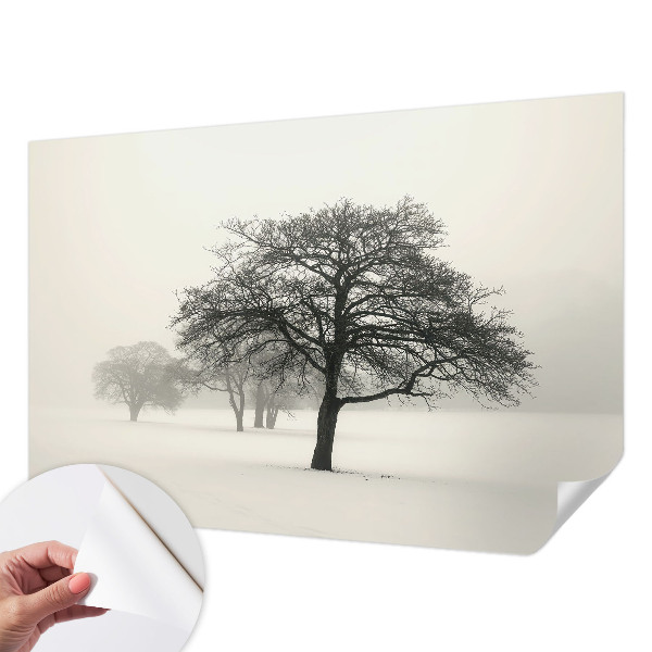 3D fotobehang met motief van winterbomen