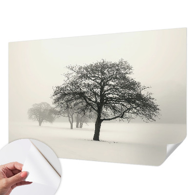 3D fotobehang met motief van winterbomen