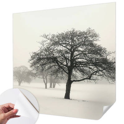 3D fotobehang met motief van winterbomen