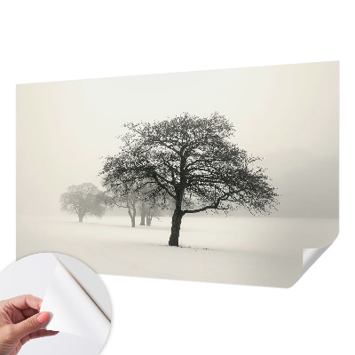 3D fotobehang met motief van winterbomen