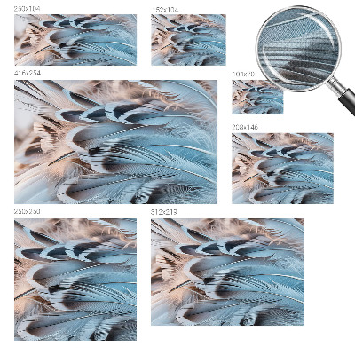 Foto behang voor de kinderkamer Blauwe veren