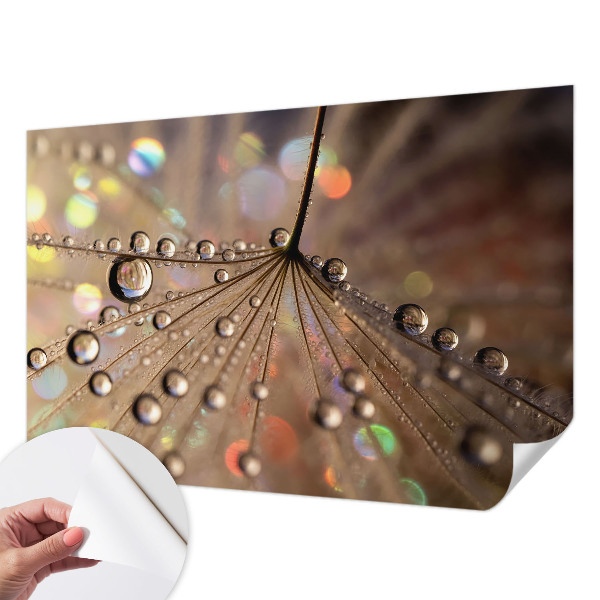 3D fotobehang Pareldruppels