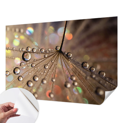 3D fotobehang Pareldruppels