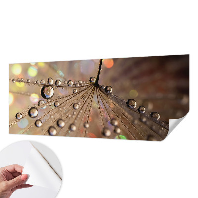 3D fotobehang Pareldruppels
