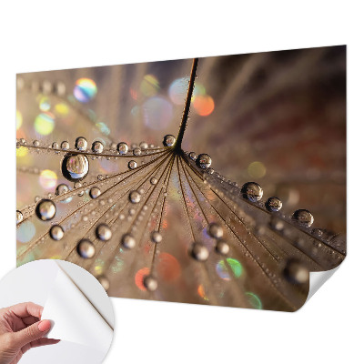 3D fotobehang Pareldruppels