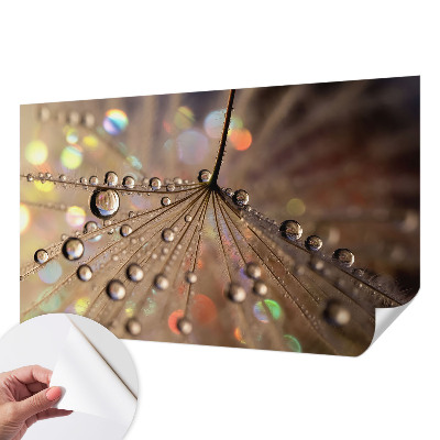 3D fotobehang Pareldruppels