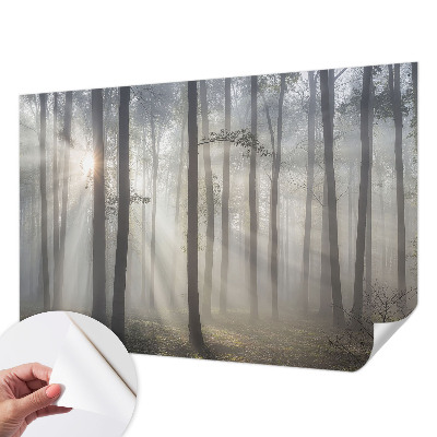 Fotobehang tienerkamer Etherisch Woud