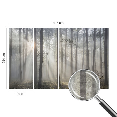 Fotobehang tienerkamer Etherisch Woud