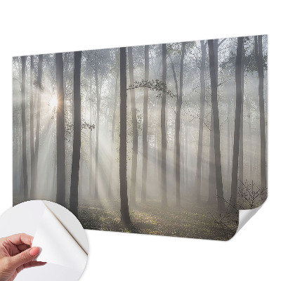 Fotobehang tienerkamer Etherisch Woud
