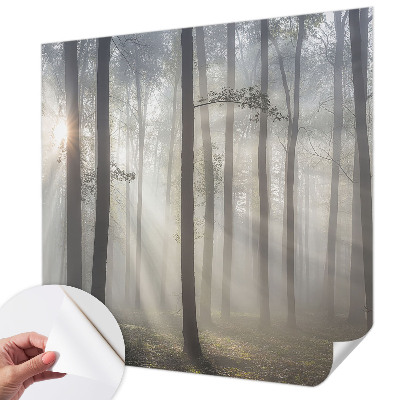 Fotobehang tienerkamer Etherisch Woud