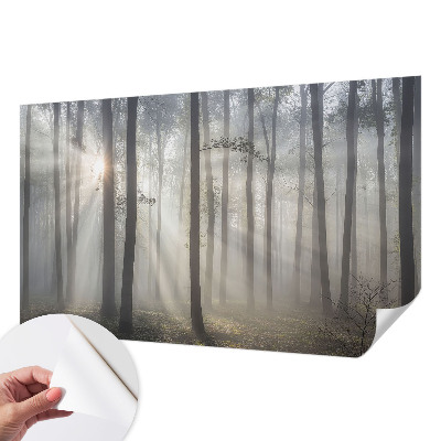 Fotobehang tienerkamer Etherisch Woud