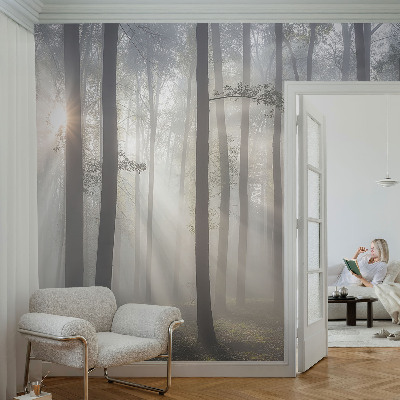 Fotobehang tienerkamer Etherisch Woud