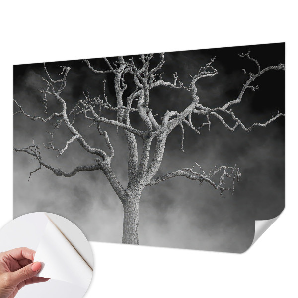 Zelfklevend fotobehang met een mistige boomprint