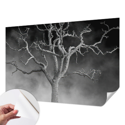 Zelfklevend fotobehang met een mistige boomprint