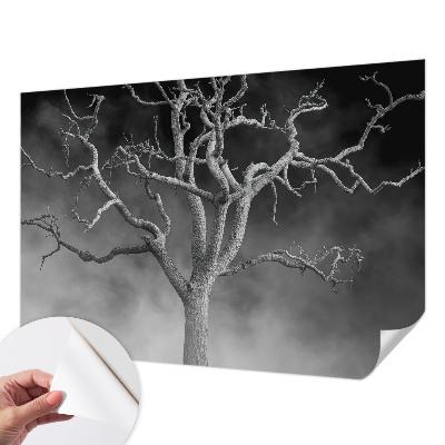 Zelfklevend fotobehang met een mistige boomprint