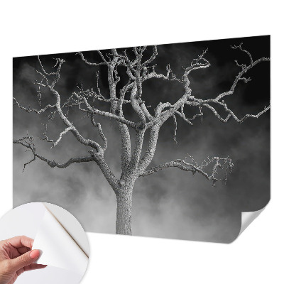 Zelfklevend fotobehang met een mistige boomprint