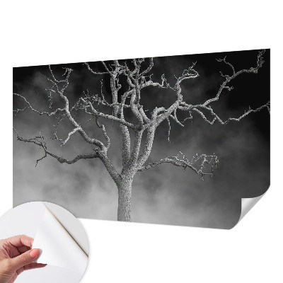 Zelfklevend fotobehang met een mistige boomprint