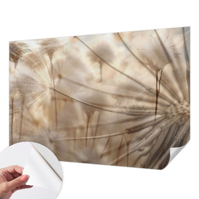 Zelfklevende behangsticker Subtiele paardenbloemen