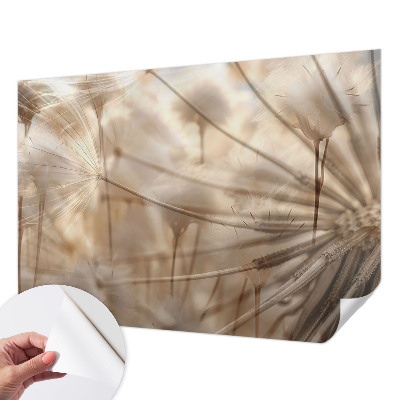 Zelfklevende behangsticker Subtiele paardenbloemen