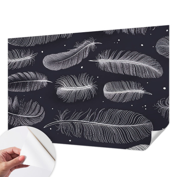 Foto behang voor de keuken Subtiele veren