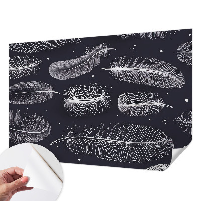 Foto behang voor de keuken Subtiele veren