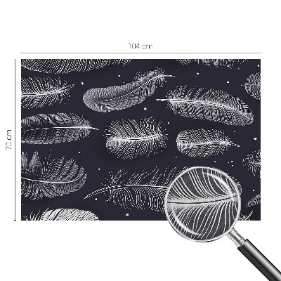 Foto behang voor de keuken Subtiele veren