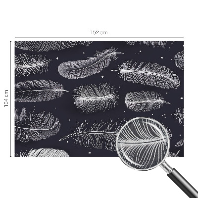 Foto behang voor de keuken Subtiele veren