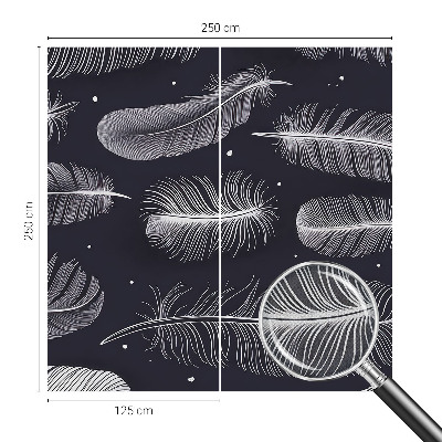 Foto behang voor de keuken Subtiele veren